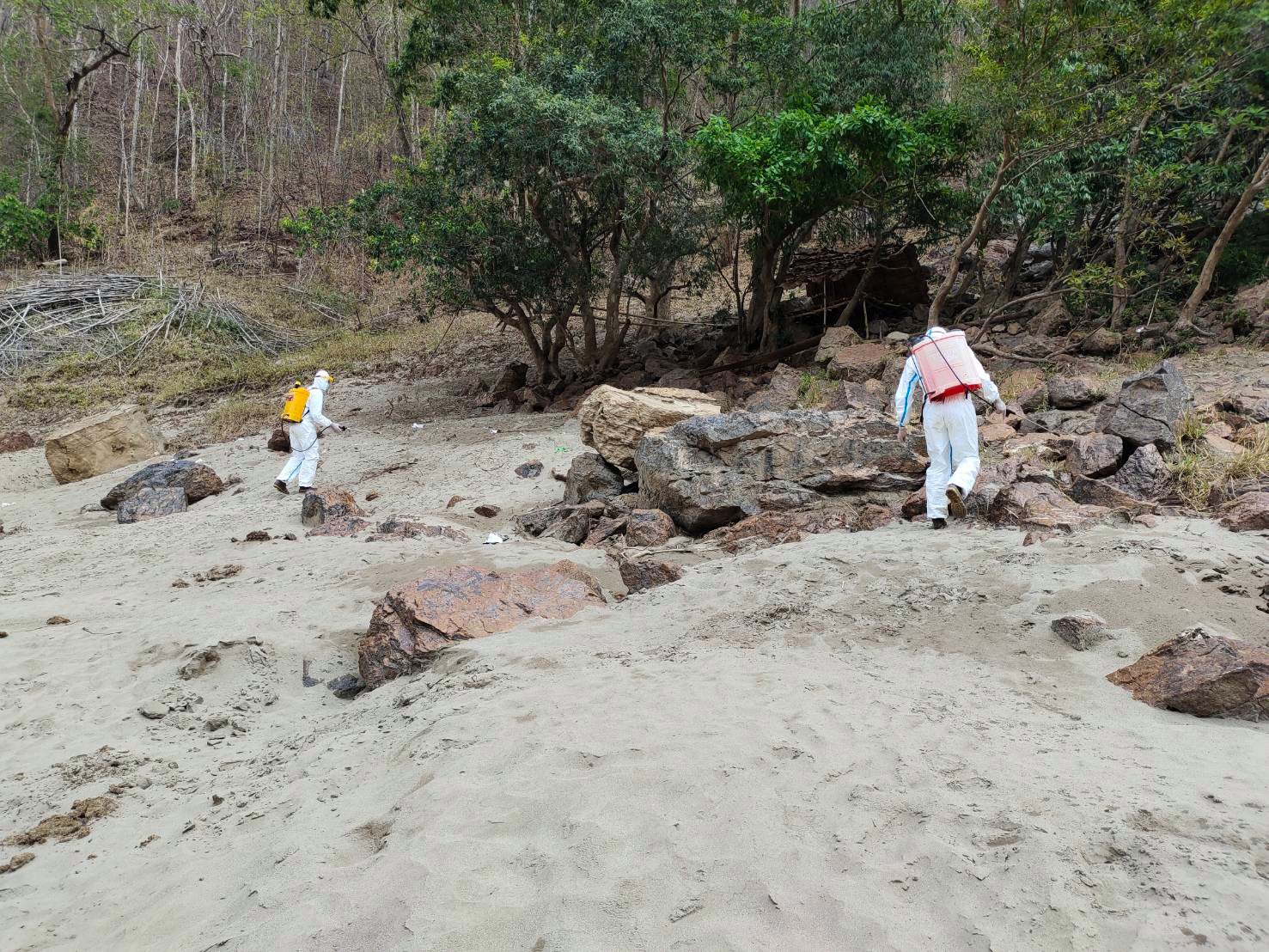 โควิด โควิด