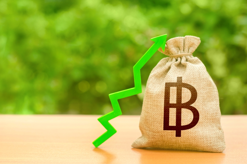 ดูดวงหมอช้าง ดูดวงหมอช้าง