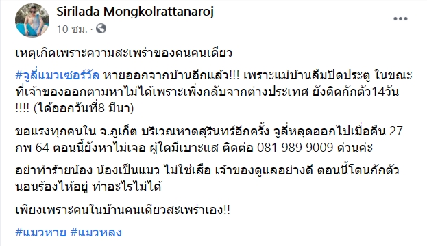 แมวหสบ แมวหสบ