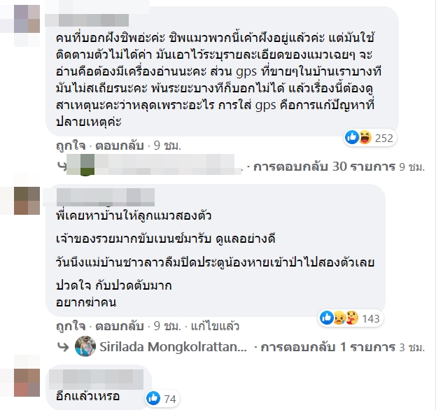 แมวหสบ แมวหสบ