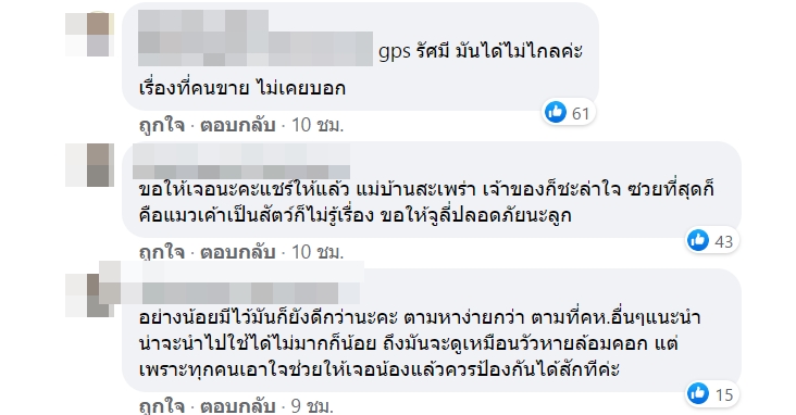 แมวหสบ แมวหสบ