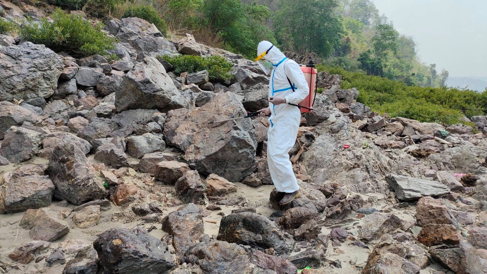 พ่นยาฆ่าโควิดในป่า พ่นยาฆ่าโควิดในป่า