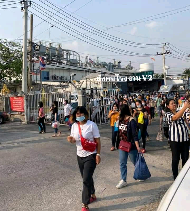 ปลดคนงาน ปลดคนงาน