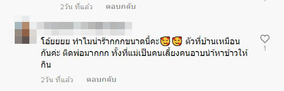 สุนัข สุนัข