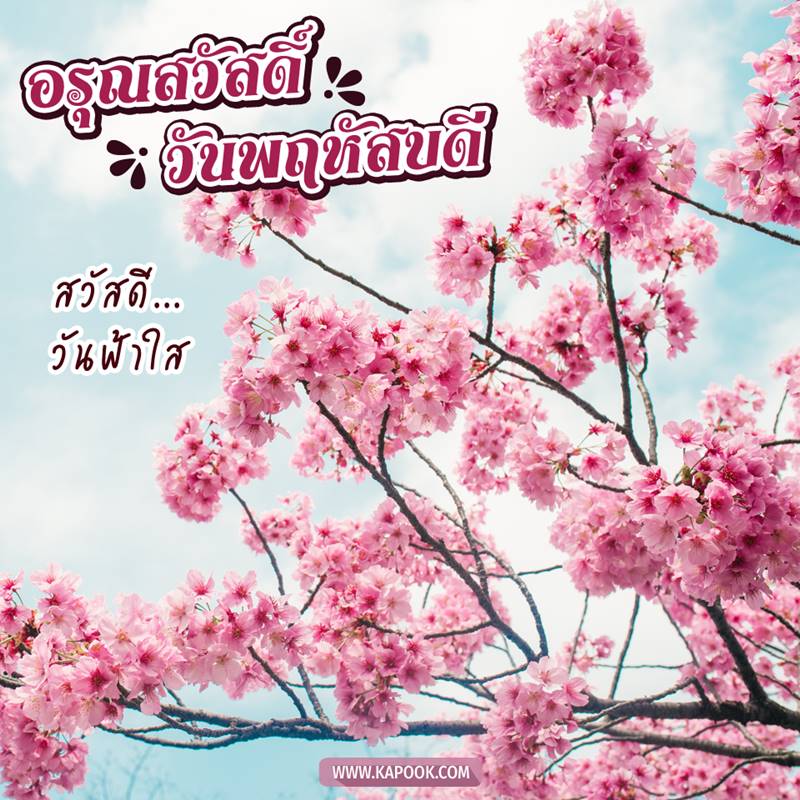 ดูดวงรายวัน วันที่ 8 เมษายน 2564 ดูดวงรายวัน วันที่ 8 เมษายน 2564