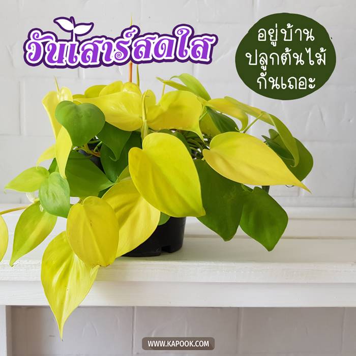 ดูดวงรายวัน วันที่ 7 สิงหาคม 2564 ดูดวงรายวัน วันที่ 7 สิงหาคม 2564