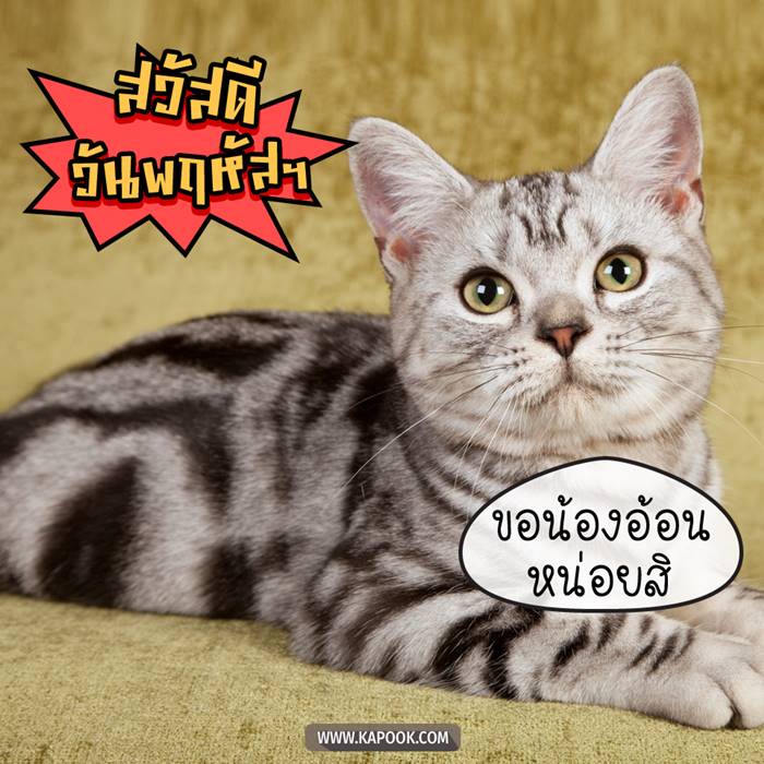 ดูดวงรายวัน วันที่ 25 กุมภาพันธ์ 2564 ดูดวงรายวัน วันที่ 25 กุมภาพันธ์ 2564