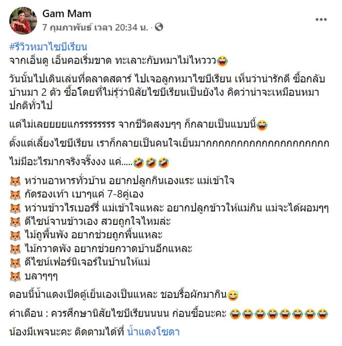 ไซบีเรียนฮัสกี้ ไซบีเรียนฮัสกี้