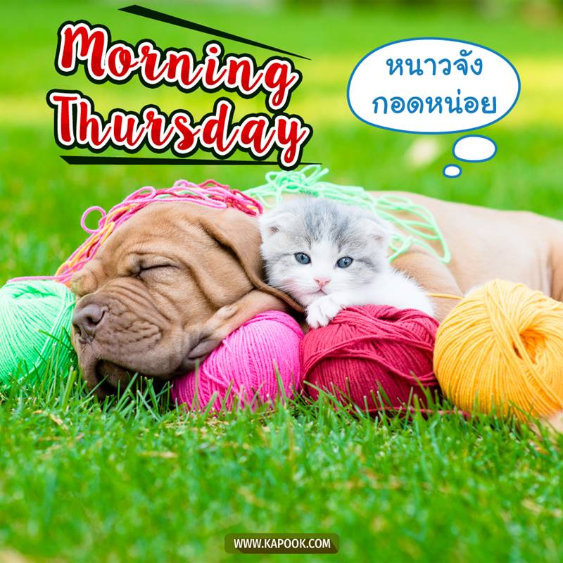 ดูดวงรายวัน วันที่ 28 มกราคม 2564 ดูดวงรายวัน วันที่ 28 มกราคม 2564