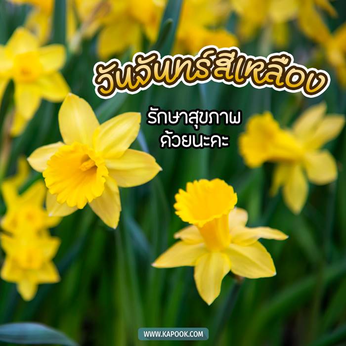 ดูดวงรายวัน วันที่ 26 กรกฎาคม 2564 ดูดวงรายวัน วันที่ 26 กรกฎาคม 2564