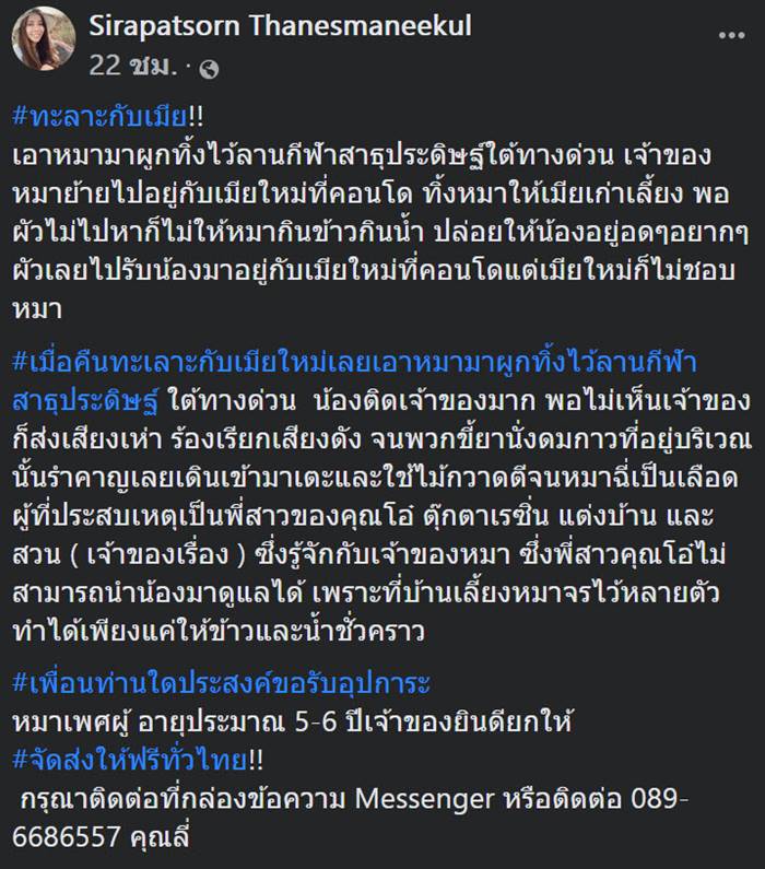 ทิ้งหมา ทิ้งหมา