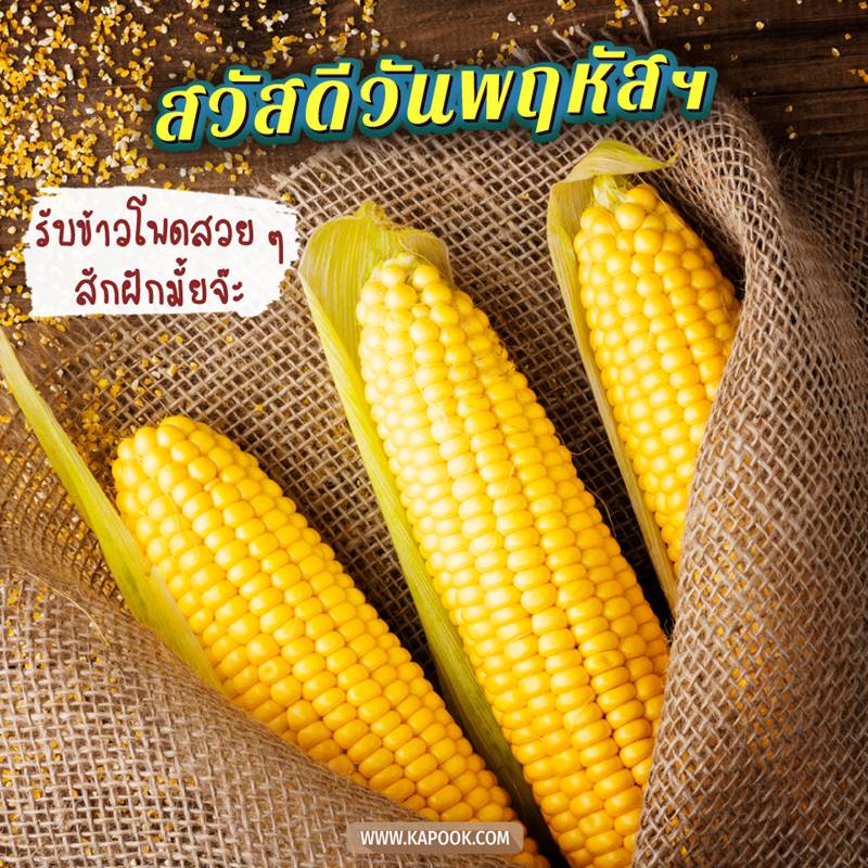 ดูดวงรายวัน วันที่ 11 มีนาคม 2564 ดูดวงรายวัน วันที่ 11 มีนาคม 2564