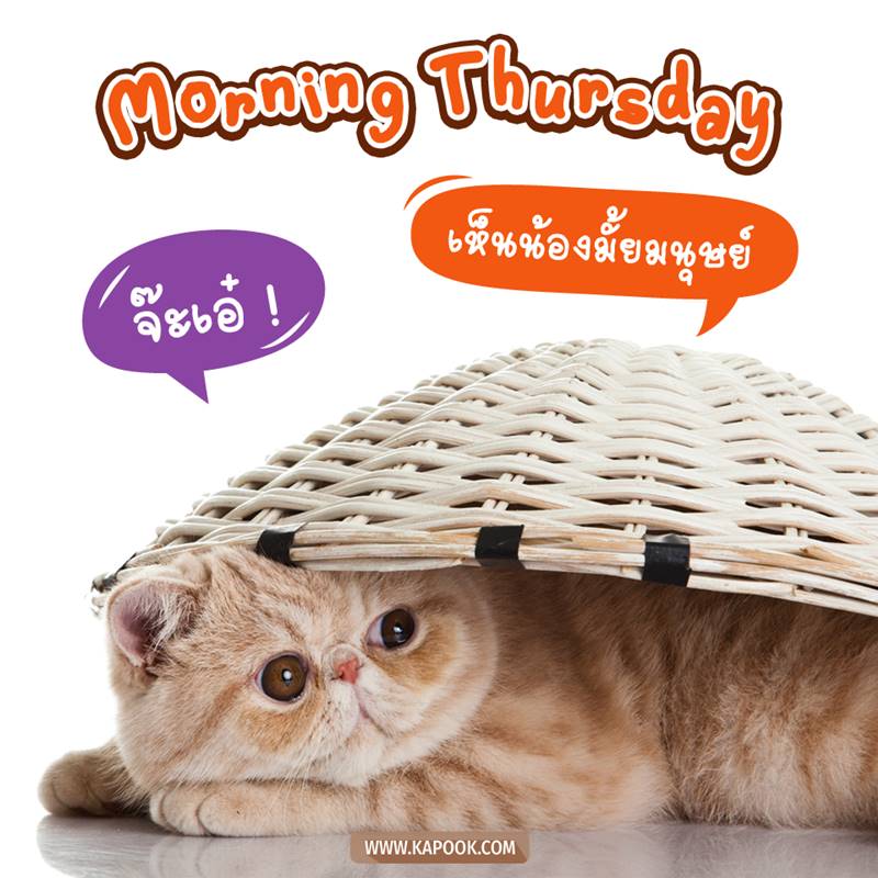 ดูดวงรายวัน วันที่ 4 มีนาคม 2564 ดูดวงรายวัน วันที่ 4 มีนาคม 2564