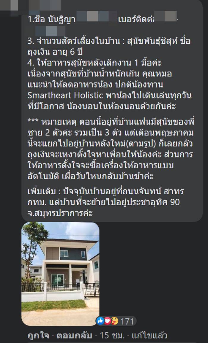 ทิ้งหมา ทิ้งหมา
