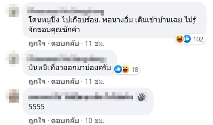 ไซบีเรียน ฮัสกี  ไซบีเรียน ฮัสกี