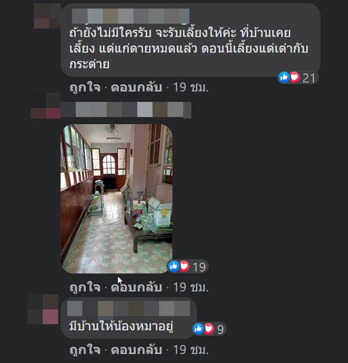 ทิ้งหมา ทิ้งหมา