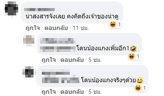 ไซบีเรียน ฮัสกี  ไซบีเรียน ฮัสกี