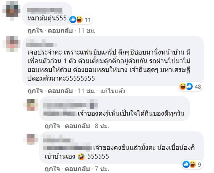 ไซบีเรียน ฮัสกี  ไซบีเรียน ฮัสกี