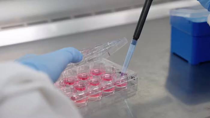 ยารักษาโควิด ยารักษาโควิด