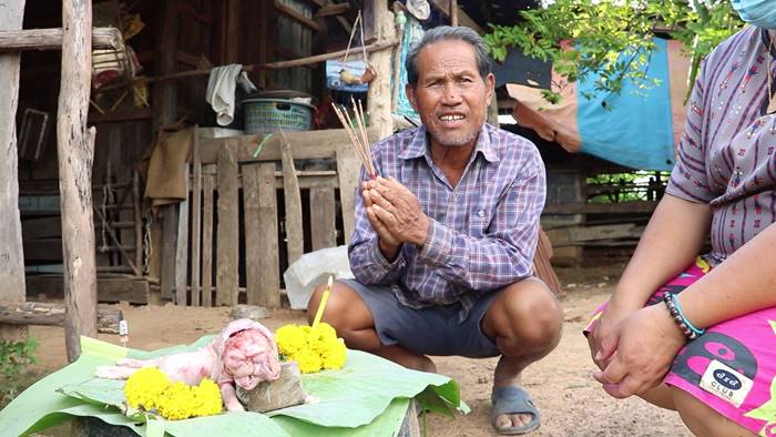 ลูกหมูประหลาด ลูกหมูประหลาด