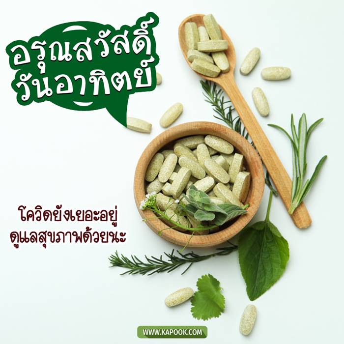 ดูดวงรายวัน วันที่ 19 กันยายน 2564 ดูดวงรายวัน วันที่ 19 กันยายน 2564