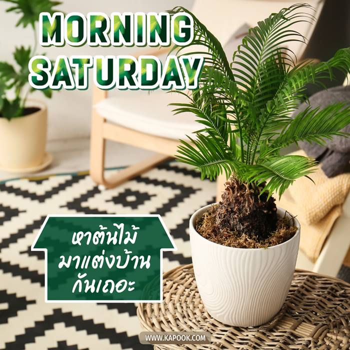 ดูดวงรายวัน วันที่ 2 ตุลาคม 2564 ดูดวงรายวัน วันที่ 2 ตุลาคม 2564