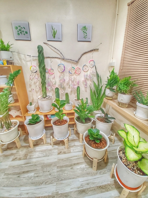 แบบบ้านชั้นเดียว 1 ห้องนอน 1 ห้องน้ำ แบบบ้านชั้นเดียว 1 ห้องนอน 1 ห้องน้ำ