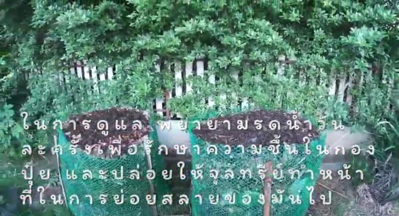 วิธีทำปุ๋ยหมักไม่พลิกกอง วิธีทำปุ๋ยหมักไม่พลิกกอง