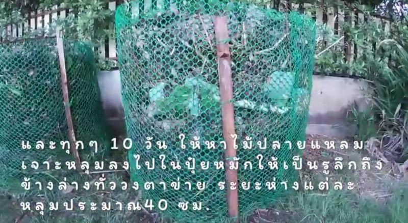 วิธีทำปุ๋ยหมักไม่พลิกกอง วิธีทำปุ๋ยหมักไม่พลิกกอง