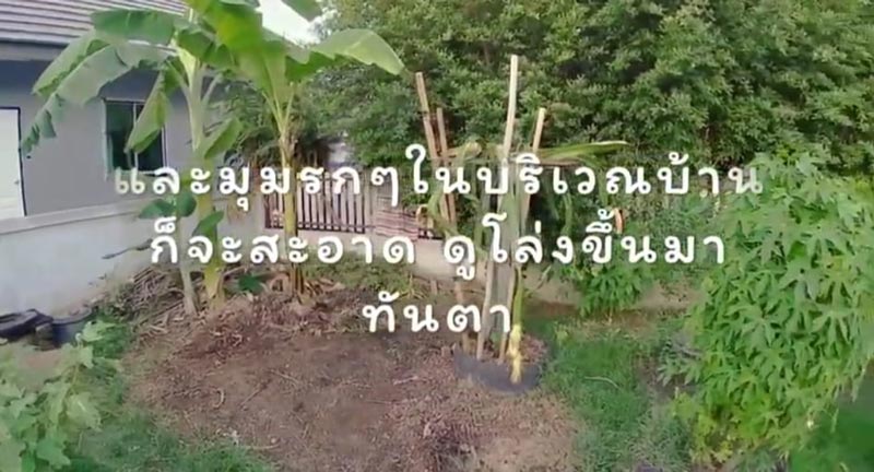 วิธีทำปุ๋ยหมักไม่พลิกกอง วิธีทำปุ๋ยหมักไม่พลิกกอง
