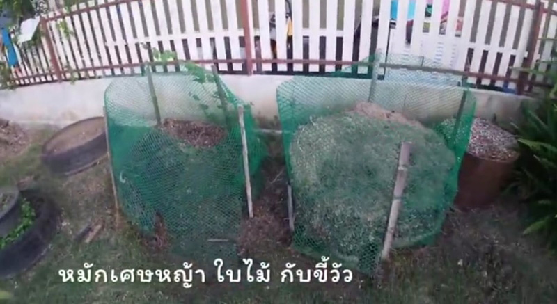 วิธีปลูกสตรอว์เบอร์รี วิธีปลูกสตรอว์เบอร์รี