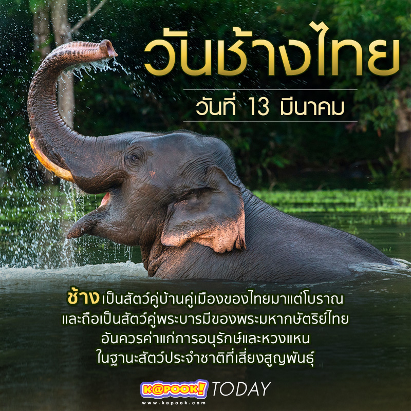 วันช้างไทย วันช้างไทย
