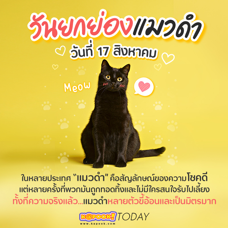 วันยกย่องแมวดำ วันยกย่องแมวดำ