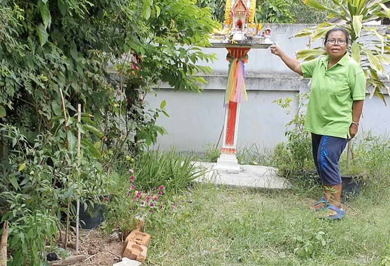 เห็ดมือผี เห็ดมือผี