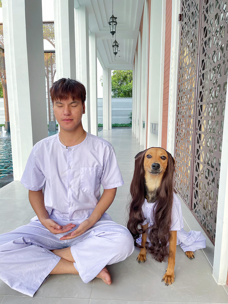 รวมคอลเลกชั่นสุดปัง หมูทะ รวมคอลเลกชั่นสุดปัง หมูทะ
