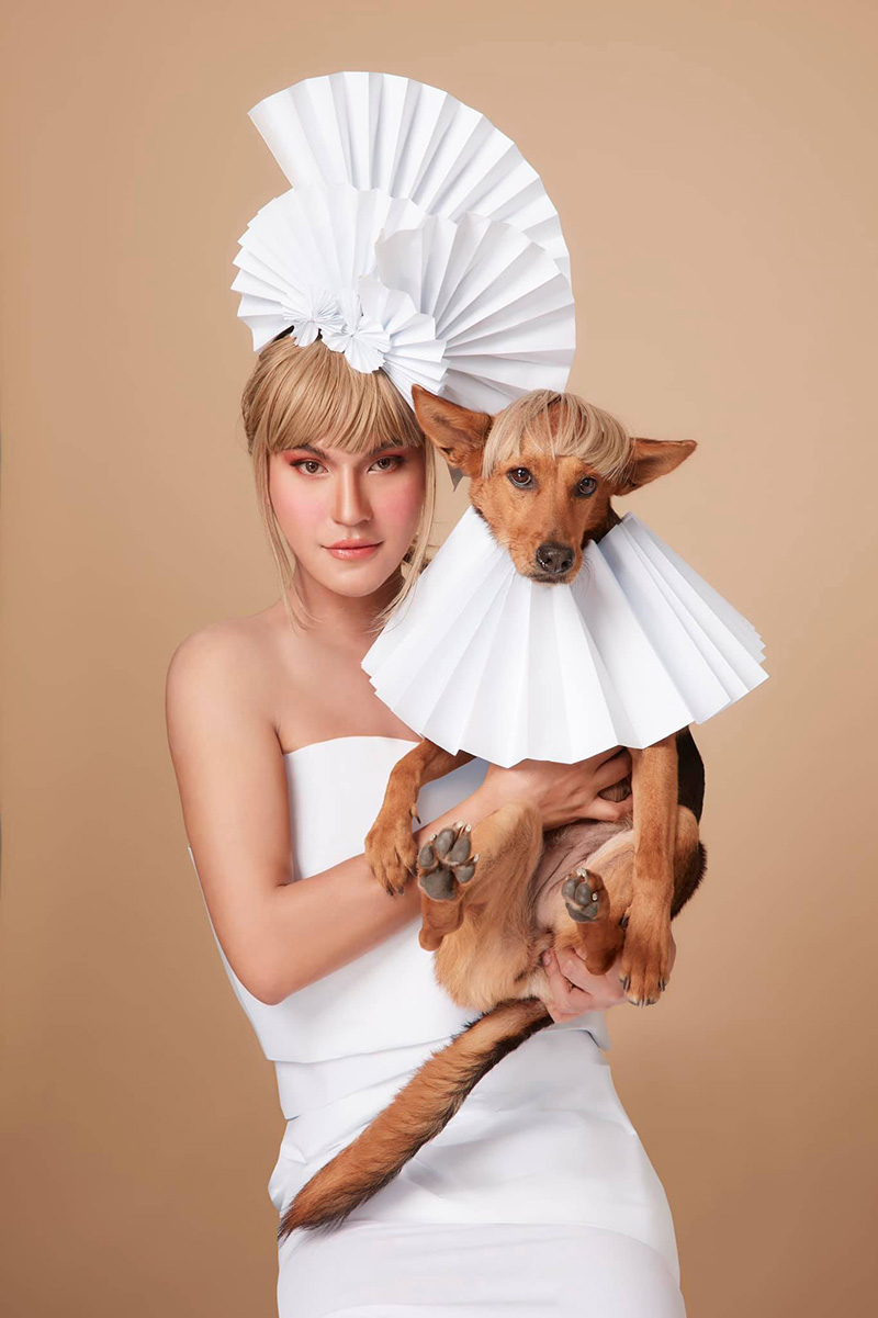 รวมคอลเลกชั่นสุดปัง หมูทะ รวมคอลเลกชั่นสุดปัง หมูทะ