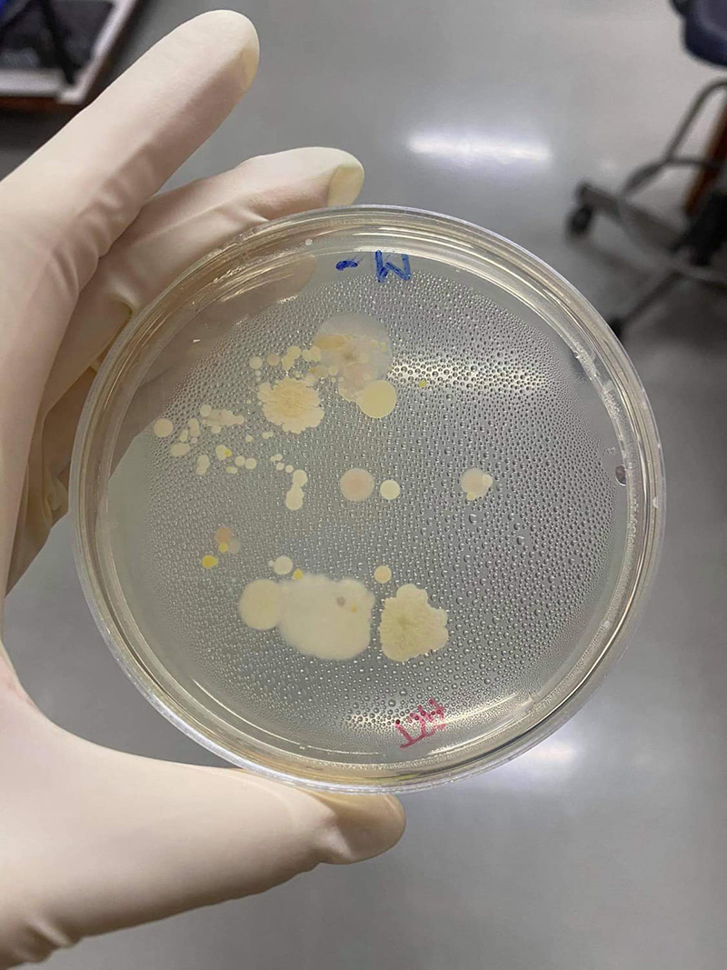 ไขข้อสงสัย กดเจลแอลกอฮอล์ล้างมือ ไขข้อสงสัย กดเจลแอลกอฮอล์ล้างมือ