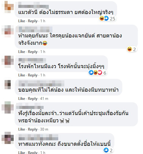 คนเอ็นดู เจ้าใบสั่ง แห่ง สน.มักกะสัน คนเอ็นดู เจ้าใบสั่ง แห่ง สน.มักกะสัน