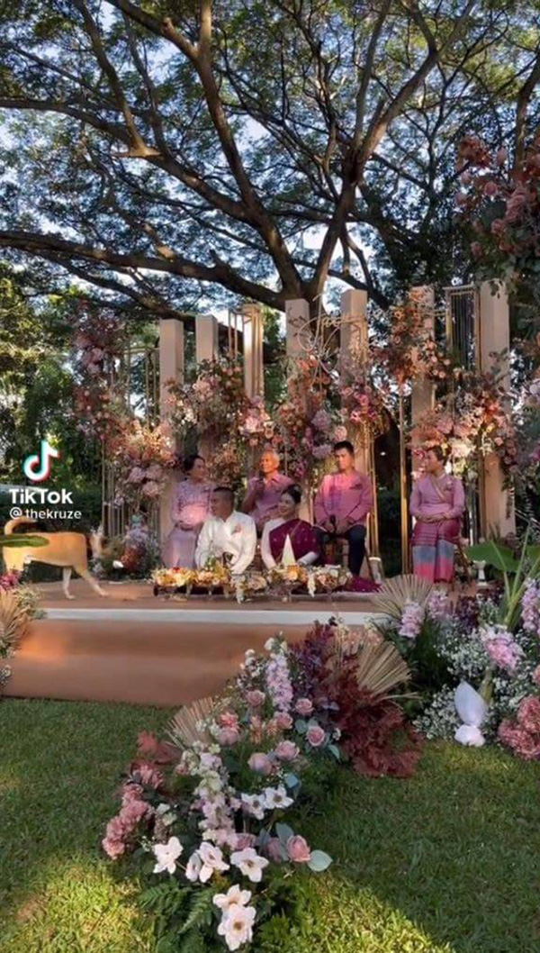 ขอผมนั่งด้วย เจ้าตูบตื่นเต้น  ขอผมนั่งด้วย เจ้าตูบตื่นเต้น