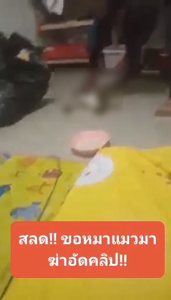 จับหนุ่มขอลูกหมามาเลี้ยง กลับอัดคลิปจับฟาด จับหนุ่มขอลูกหมามาเลี้ยง กลับอัดคลิปจับฟาด