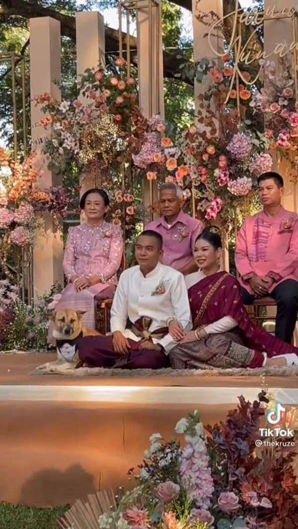 ขอผมนั่งด้วย เจ้าตูบตื่นเต้น ขอผมนั่งด้วย เจ้าตูบตื่นเต้น