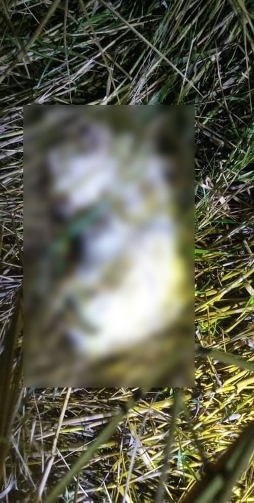 จับหนุ่มขอลูกหมามาเลี้ยง กลับอัดคลิปจับฟาด จับหนุ่มขอลูกหมามาเลี้ยง กลับอัดคลิปจับฟาด