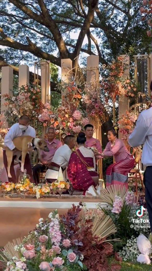 ขอผมนั่งด้วย เจ้าตูบตื่นเต้น ขอผมนั่งด้วย เจ้าตูบตื่นเต้น
