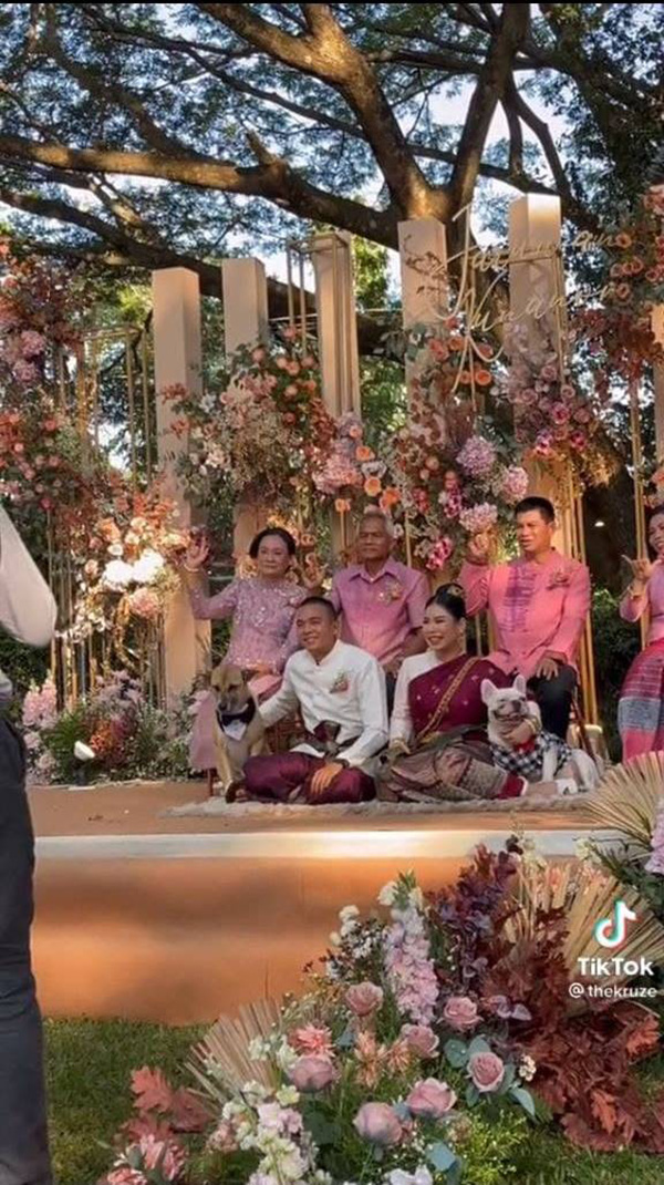 ขอผมนั่งด้วย เจ้าตูบตื่นเต้น ขอผมนั่งด้วย เจ้าตูบตื่นเต้น