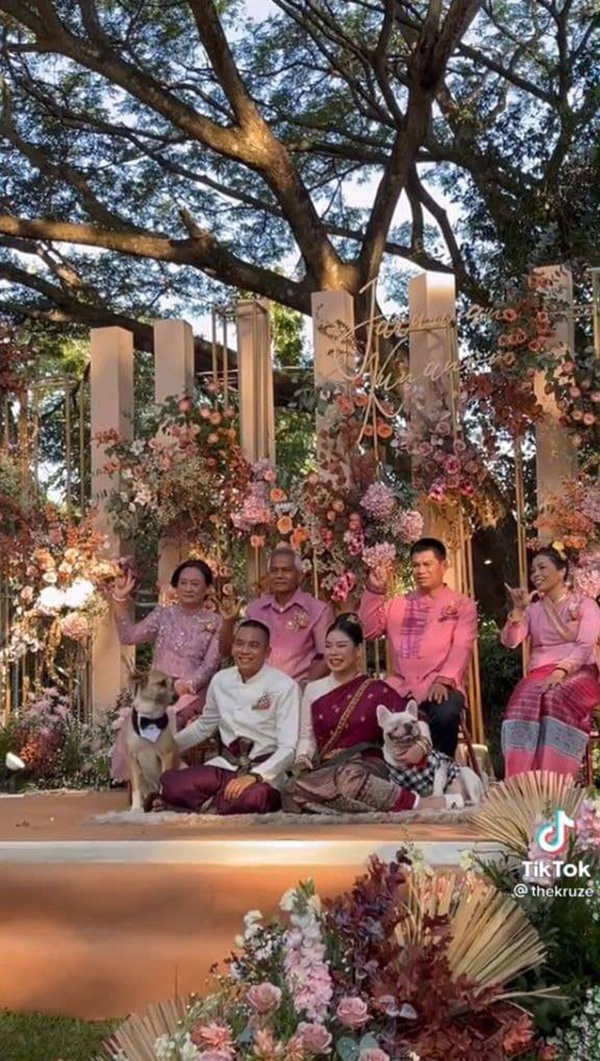 ขอผมนั่งด้วย เจ้าตูบตื่นเต้น ขอผมนั่งด้วย เจ้าตูบตื่นเต้น