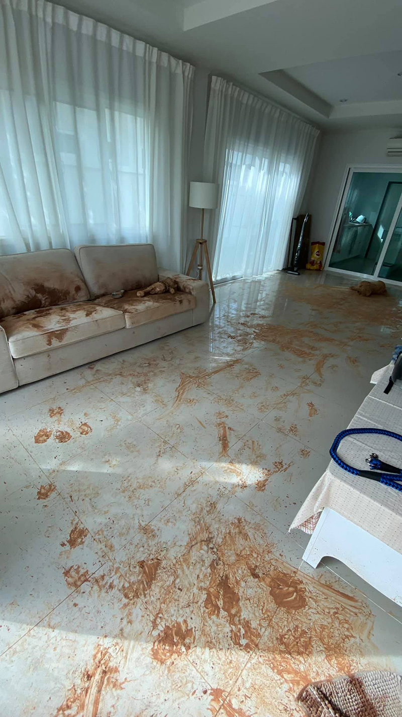 รีวิวเลี้ยงหมาโกลเด้น รีวิวเลี้ยงหมาโกลเด้น