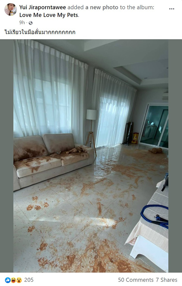 รีวิวเลี้ยงหมาโกลเด้น รีวิวเลี้ยงหมาโกลเด้น