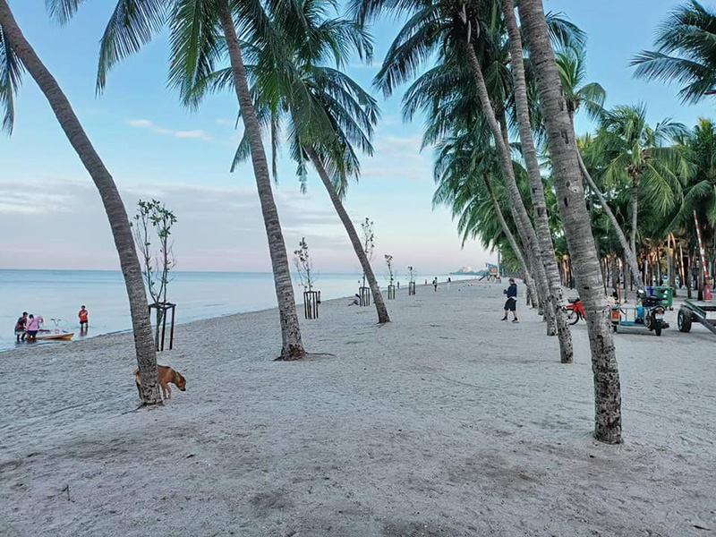 ชายหาดบางแสน หาดบางแสน