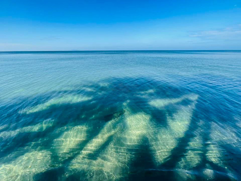 ชายหาดบางแสน หาดบางแสน