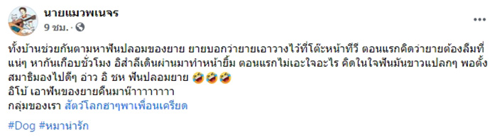 เจ้าสำลีแอบไปเอาฟันปลอมของคุณยายมาใส่ เจ้าสำลีแอบไปเอาฟันปลอมของคุณยายมาใส่